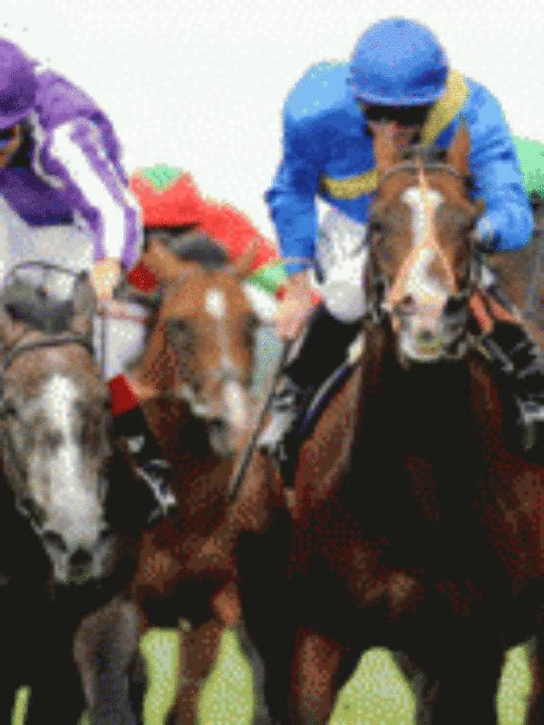 cropped-Horse-race-betting-in-Dubai.gif